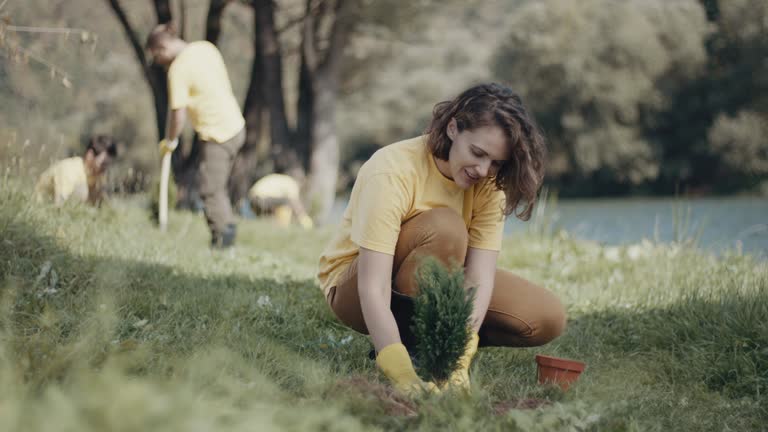 Best Tree and Shrub Care  in Avenal, CA